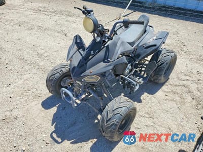 Drugie zdjęcie samochodu z przodu: 2011 ATV VIN:L5NATMCT2BT283081 - miniatura