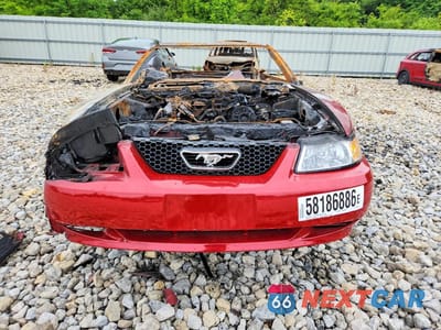 Piąte zdjęcie samochodu w środku: 1999 FORD MUSTANG VIN:1FAFP444XXF196844 - miniatura