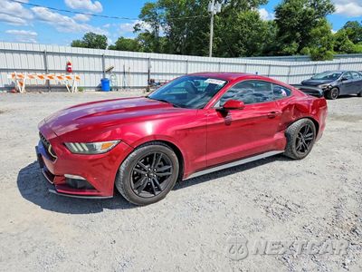 2016 FORD MUSTANG 1FA6P8TH9G5292840 - główne zdjęcie licytacji z USA - miniatura