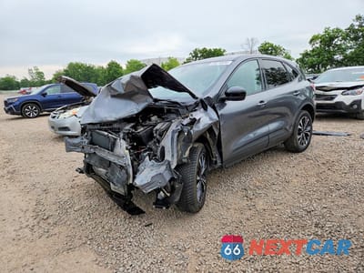 2021 FORD ESCAPE SE 1FMCU9G66MUB17530 - główne zdjęcie licytacji z USA - miniatura