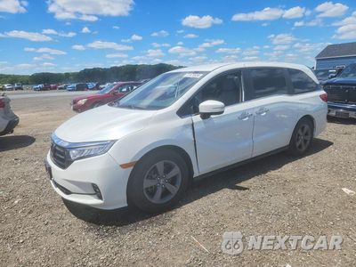 2021 HONDA ODYSSEY EX 5FNRL6H52MB014863 - główne zdjęcie licytacji z USA - miniatura
