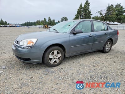 2005 CHEVROLET MALIBU LS 1G1ZT52895F280335 - główne zdjęcie licytacji z USA - miniatura