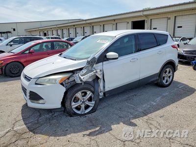 2015 FORD ESCAPE SE 1FMCU0GX3FUC88002 - główne zdjęcie licytacji z USA - miniatura