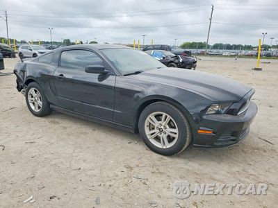 Czwarte zdjęcie samochodu z boku: 2013 FORD MUSTANG VIN:1ZVBP8AM0D5215839 - miniatura
