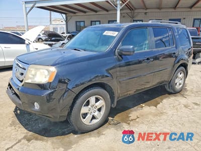 2009 HONDA PILOT EXL 5FNYF38549B022679 - główne zdjęcie licytacji z USA - miniatura