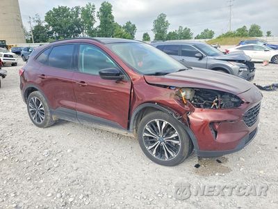 Czwarte zdjęcie samochodu z boku: 2021 FORD ESCAPE SE VIN:1FMCU9BZ8MUA05216 - miniatura