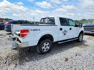 Trzecie zdjęcie samochodu z tyłu: 2014 FORD F150 SUPERCREW VIN:1FTFW1ET5EKD82121 - miniatura