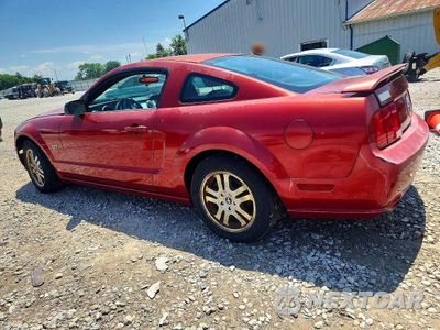 Drugie zdjęcie samochodu z przodu: 2006 FORD MUSTANG GT VIN:1ZVFT82HX65168370 - miniatura