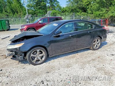2010 ACURA TL 19UUA9F51AA002035 - główne zdjęcie licytacji z USA - miniatura