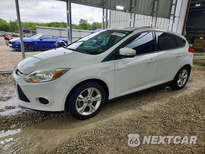 2013 FORD FOCUS SE 1FADP3K22DL271391 - główne zdjęcie licytacji z USA - miniatura
