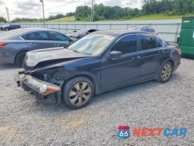 2008 HONDA ACCORD EXL JHMCP26838C062552 - główne zdjęcie licytacji z USA - miniatura