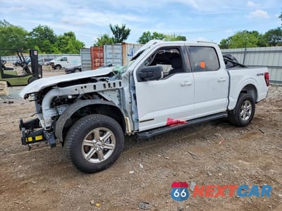 2024 FORD F150 XLT 1FTFW3LD6RFB95962 - główne zdjęcie licytacji z USA - miniatura