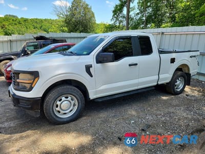 2024 FORD F150 XL 1FTEX1LP9RKE07008 - główne zdjęcie licytacji z USA - miniatura