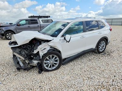2025 HONDA CR-V EXL 5J6RS3H79SL012096 - główne zdjęcie licytacji z USA - miniatura