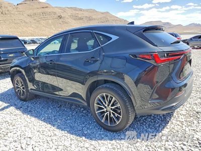 Drugie zdjęcie samochodu z przodu: 2024 LEXUS NX 350H PREMIUM VIN:JTJGKCEZ8R5013397 - miniatura