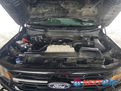 Zdjęcie 12 z 13 samochodu: 2025 FORD F150 XLT VIN:1FTEW3KP9SKE53802 - miniatura