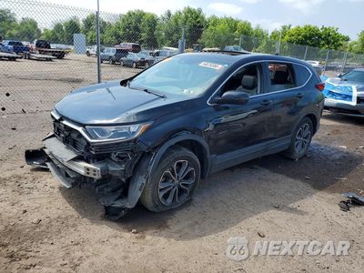 2020 HONDA CRV 2HKRW2H8XLH655981 - główne zdjęcie licytacji z USA - miniatura