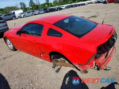 Drugie zdjęcie samochodu z przodu: 2014 FORD MUSTANG VIN:1ZVBP8AMXE5249496 - miniatura
