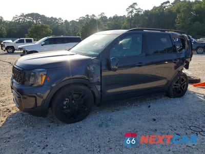 2025 KIA TELLURIDE SX-PRESTIGE X-LINE 5XYP5DGCXSG690523 - główne zdjęcie licytacji z USA - miniatura