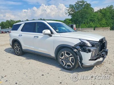 Czwarte zdjęcie samochodu z boku: 2023 HYUNDAI PALISADE LIMITED VIN:KM8R5DGE5PU528391 - miniatura