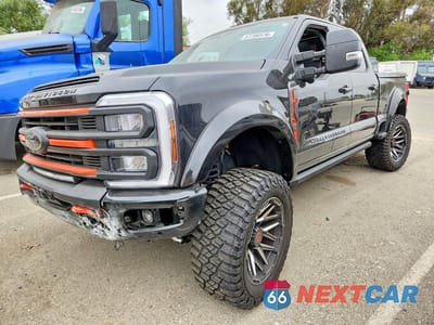 2025 FORD F250 SUPER DUTY 1FT8W2BM2SEC35471 - główne zdjęcie licytacji z USA - miniatura