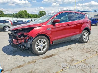 2019 FORD ESCAPE 1FMCU0HD9KUB46784 - główne zdjęcie licytacji z USA - miniatura