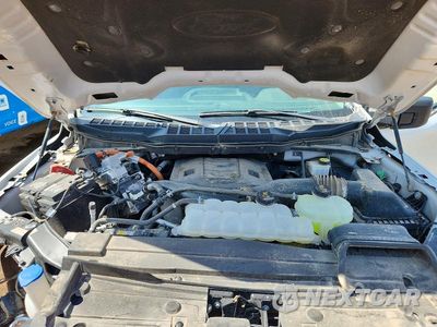 Zdjęcie 21 z 24 samochodu: 2023 FORD F150 SUPERCREW VIN:1FTFW1ED0PFC64966 - miniatura