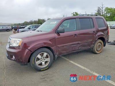 2011 HONDA PILOT EXL 5FNYF4H64BB015493 - główne zdjęcie licytacji z USA - miniatura