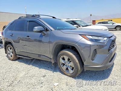 Czwarte zdjęcie samochodu z boku: 2025 TOYOTA RAV4 LE VIN:JTMMWRFVXSD326116 - miniatura