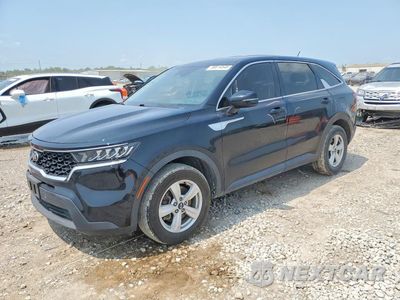 2021 KIA SORENTO LX 5XYRG4LCXMG029571 - główne zdjęcie licytacji z USA - miniatura