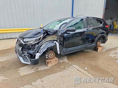 2020 HONDA CR-V EX 2HKRW2H53LH668416 - główne zdjęcie licytacji z USA - miniatura