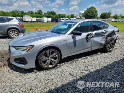 2021 ACURA TLX TECH A 19UUB5F59MA016002 - główne zdjęcie licytacji z USA - miniatura