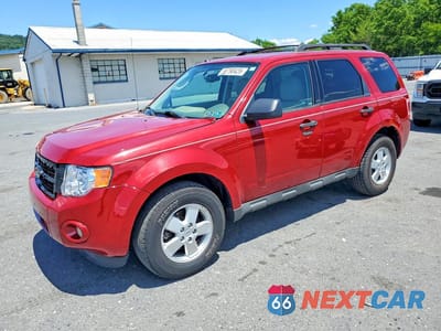 2011 FORD ESCAPE XLT 1FMCU9D70BKB82086 - główne zdjęcie licytacji z USA - miniatura