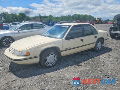 1991 CHEVROLET LUMINA 2G1WL54T0M9114247 - główne zdjęcie licytacji z USA - miniatura