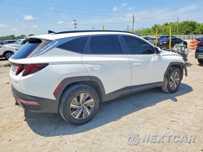 Trzecie zdjęcie samochodu z tyłu: 2024 HYUNDAI TUCSON BLUE VIN:KM8JBCD13RU232659 - miniatura