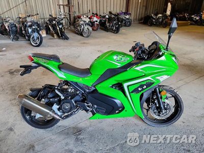 2024 SEGEN DRAGON H0DTAEG5XRX070617 - główne zdjęcie licytacji z USA - miniatura