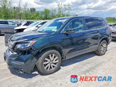2020 HONDA PILOT EXL 5FNYF6H54LB013036 - główne zdjęcie licytacji z USA - miniatura
