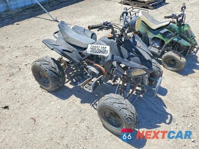 2011 ATV L5NATMCT2BT283081 - główne zdjęcie licytacji z USA - miniatura