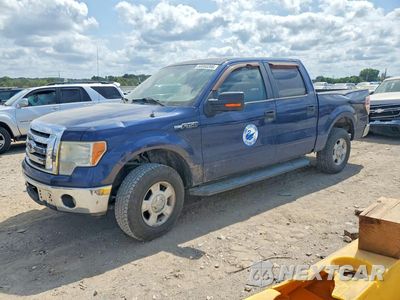 2011 FORD F150 SUPERCREW 1FTFW1EF0BFA87829 - główne zdjęcie licytacji z USA - miniatura