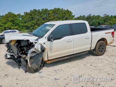 2025 FORD F150 TREMOR 1FTFW4L50SFA94288 - główne zdjęcie licytacji z USA - miniatura