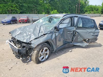 2024 HYUNDAI TUCSON SEL 5NMJBCDEXRH329484 - główne zdjęcie licytacji z USA - miniatura
