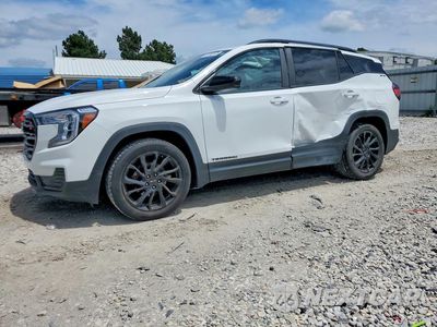 2023 GMC TERRAIN SLE 3GKALMEG5PL170316 - główne zdjęcie licytacji z USA - miniatura