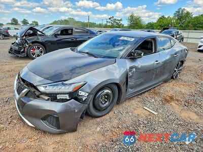 2021 NISSAN MAXIMA SV 1N4AA6CV5MC504355 - główne zdjęcie licytacji z USA - miniatura