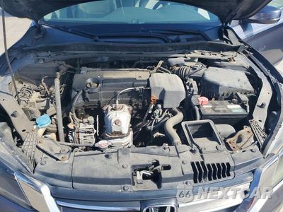 Zdjęcie 11 z 12 samochodu: 2013 HONDA ACCORD EXL VIN:1HGCR2F84DA127668 - miniatura