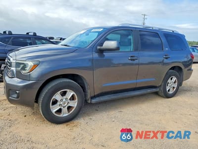 2019 TOYOTA SEQUOIA SR5 5TDZY5G1XKS072934 - główne zdjęcie licytacji z USA - miniatura