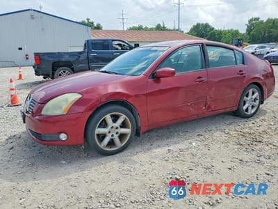 2004 NISSAN MAXIMA 1N4BA41E74C898145 - główne zdjęcie licytacji z USA - miniatura