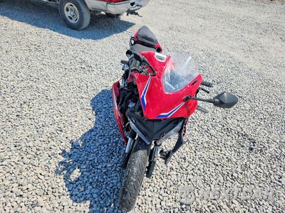 Drugie zdjęcie samochodu z przodu: 2025 HONDA CBR500 RA VIN:MLHPC7052S5101652 - miniatura