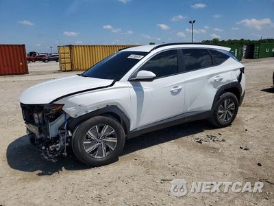 2024 HYUNDAI TUCSON BLUE KM8JBCD13RU232659 - główne zdjęcie licytacji z USA - miniatura