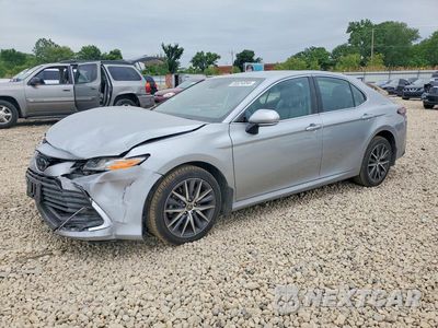 2024 TOYOTA CAMRY XLE 4T1F11BK4RU131686 - główne zdjęcie licytacji z USA - miniatura