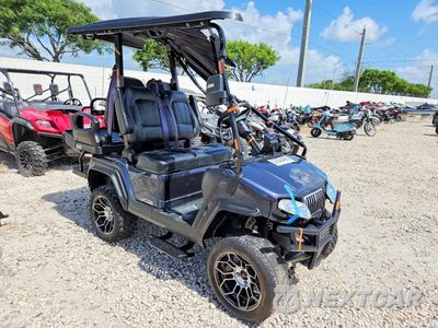 2024 EVOLUTION GOLF CART 7MZHFB1B2RC005882 - główne zdjęcie licytacji z USA - miniatura